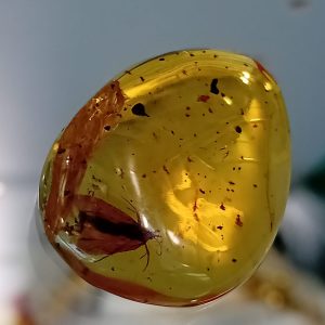 bellissima ambra con insetto a goccia al suo interno una farfallina e una formica .. vera meraviglia della natura con una fossilizzazione di 45 milioni di anni provenienza miniera di Simojovel Chiapas Messico prodotto originale e garantito